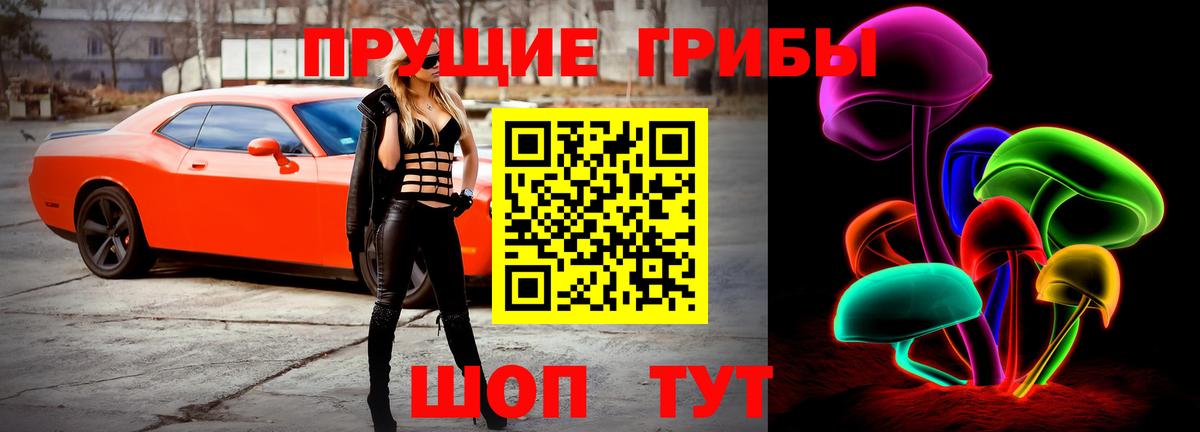Галлюциногенные грибы GOLDEN TEACHER Серпухов